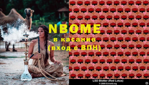 кокс Новокубанск