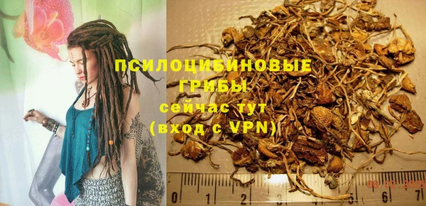 мескалин Новодвинск