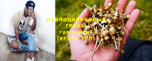 кокс Новокубанск