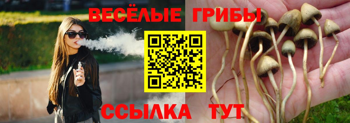 Среднеуральск  Галлюциногенные грибы MAGIC MUSHROOMS  Псилоцибиновые грибы мухоморы  Вход с VPN 