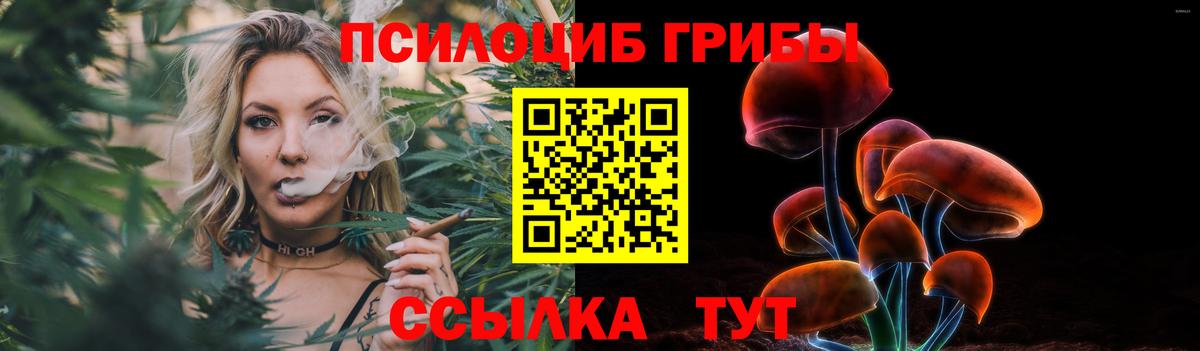Галлюциногенные грибы прущие грибы Среднеуральск